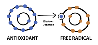 free radicals, antioxidants, cancer & disease